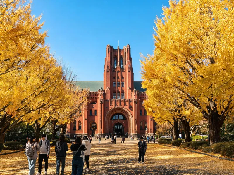 達日留学 - 东京大学日本留学申请目标院校校园场景
